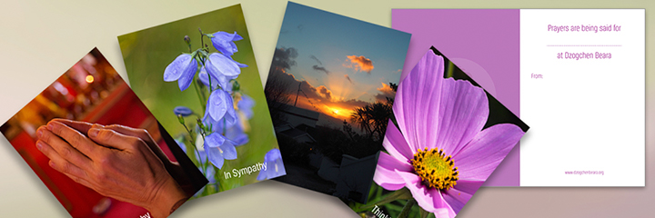 Buddhist Prayer and Sympathy Cards