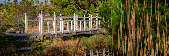 Remembrance Bridge Dzogchen Beara